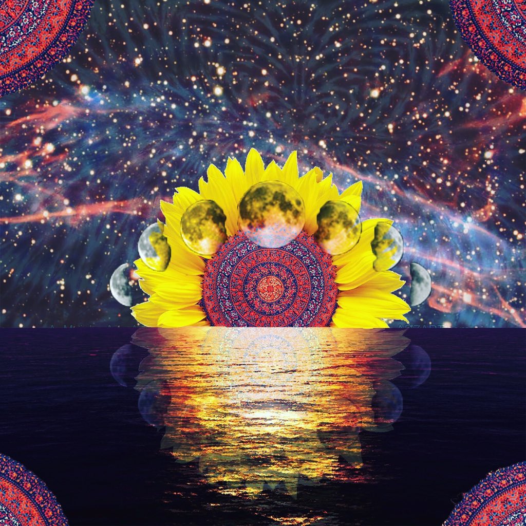 WacoBandUK's tweet image. We’ve a limited number of sunflower seeds left after the weekend up in our web store. We want you to grow these in memory of our Chris/Flip and share your photos with us. All proceeds go to the charity @TogetherMW
Available here: wacoband.bandcamp.com/merch
#FlipsFlowers #WacoFamily