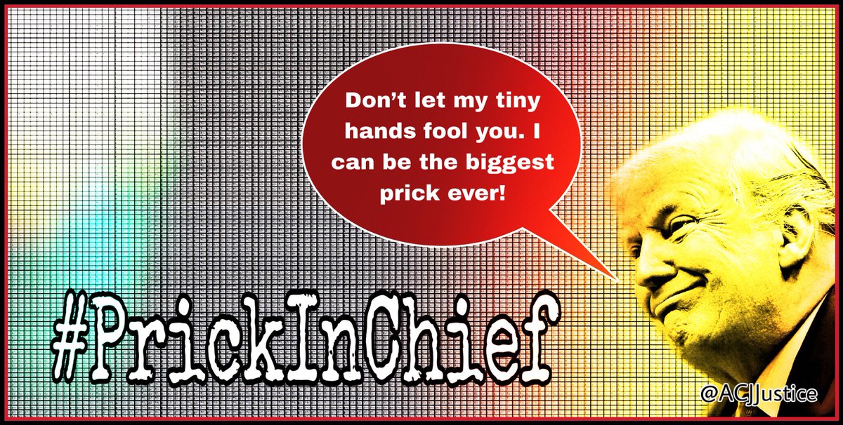 ACJJustice's tweet photo. @B52Malmet Ooh, another cool hashtag from Babs! #PrickInChief https://t.co/7UhbsmeQXM