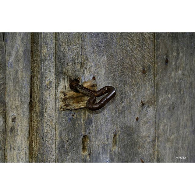 ValledeCamaleno's tweet photo. "La #felicidad está en mil cofres. Pero todos tenemos alguna llave."
✍️ #JoseNarosky
📸 Miguel Alba
🗝
.
.
.
.
.
.
#ValledeCamaleño #descubreLiebana 
#destinoliébana  #liébanaparaísonatural #embajadordeliebana  #objetosmagicos #objetosdeco #cantabriamo… https://t.co/o7j643IvDi https://t.co/6Q7FFGTHs3