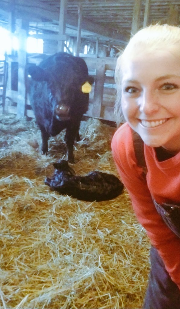 I think momma cow and I are equally proud! #calving I think momma cow and I are equally proud! #calving