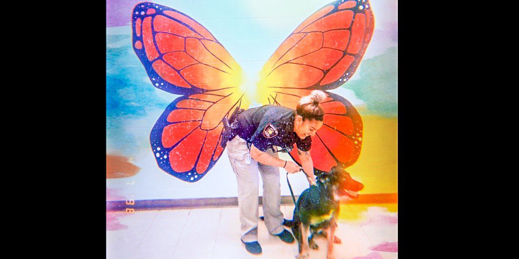 HISDPolice's tweet photo. #HISD K9 Handler N. Munguia & K9 Boni ๐พ bringing smiles ๐ฌ to the students at @WaltripRam.
#HISDPD #communitypolicing #sayqueso https://t.co/OIfka7UEdb