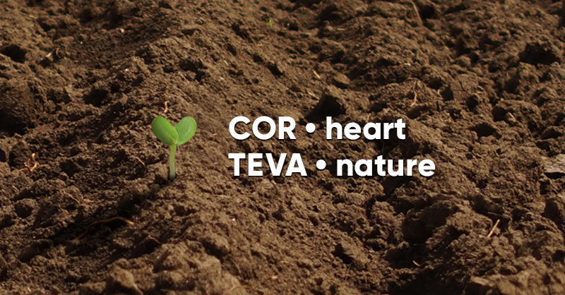 CortevaCA's tweet photo. Did you know that Corteva is a combination of the words "heart" and "nature"? Being good stewards of the land is important to us. #EarthDay2019 https://t.co/odaZiOlJQv