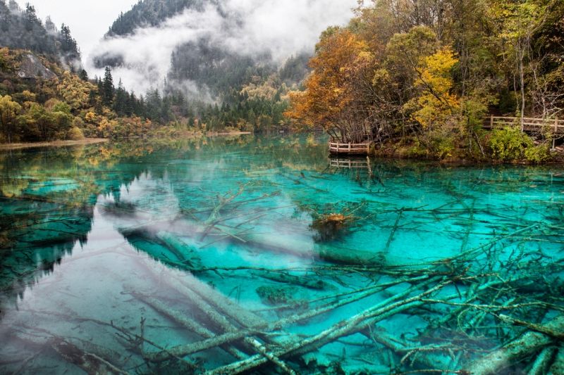 OtravelAI's tweet photo. Five Flower Lake - the lake-bed under 16ft is visible under its clear water. The color of the lake varies: from amber yellow, emerald green, dark jade to light turquoise, with a hint of coral. Local residents consider it to be a holy lake. 🇨🇳 #Travel #China https://t.co/qmcTyGt01F