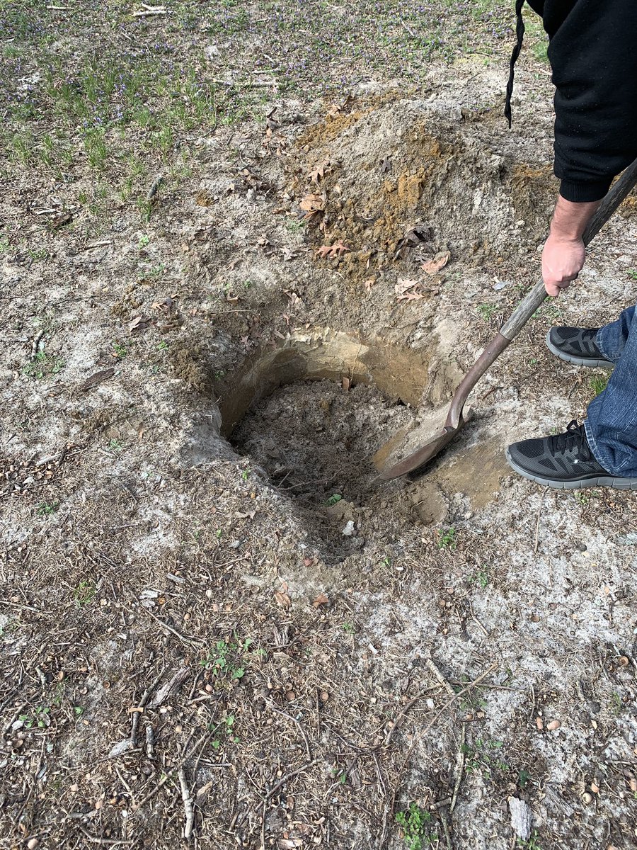 JenTheTracy tweet media