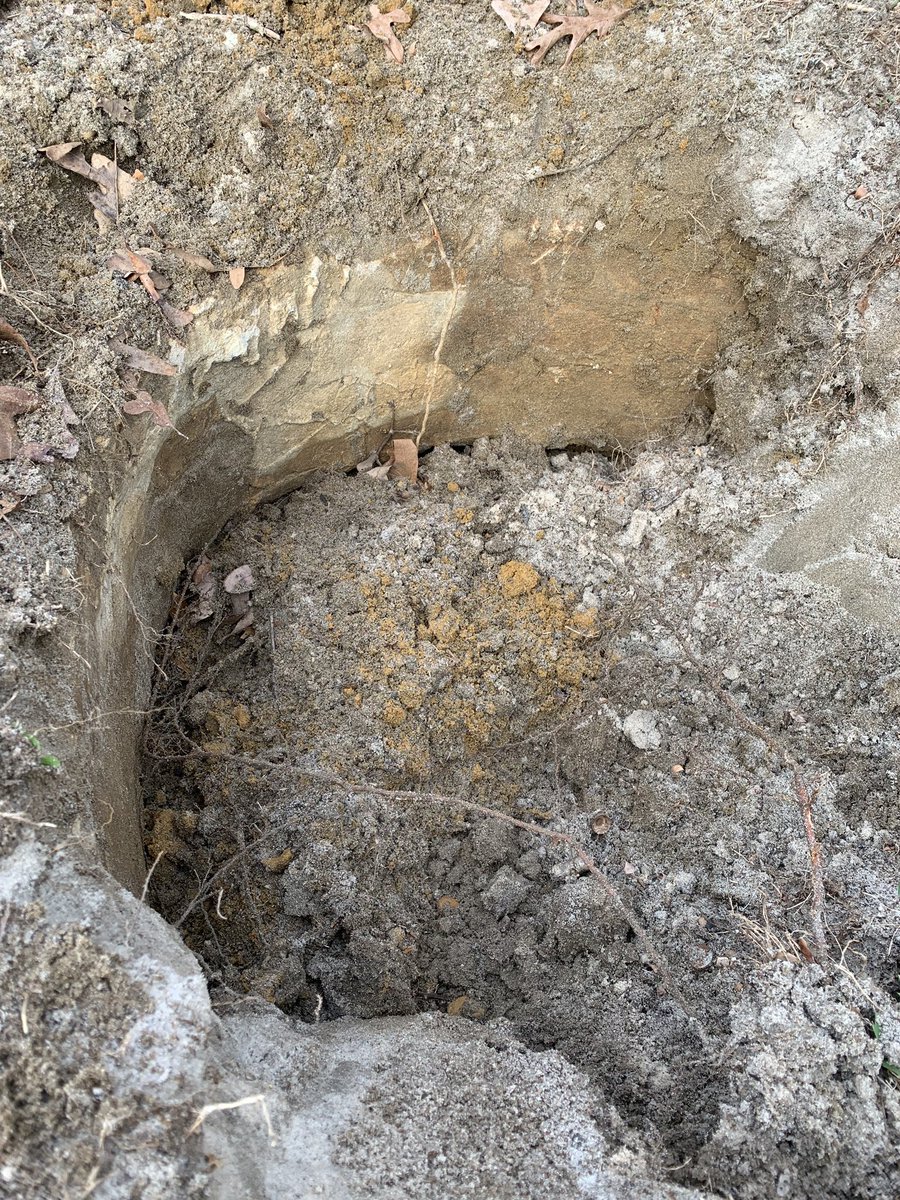 JenTheTracy tweet media