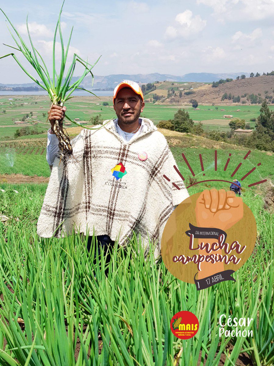 En el día internacional de la #LUCHACAMPESINA ✊, honramos a l@s trabajador@s del campo, que día a día abastecen de alimento las ciudades. En su lucha incesante por la vida digna y nuestros territorios.

¡Por la soberanía de nuestros pueblos, nuestro compromiso es con el campo!