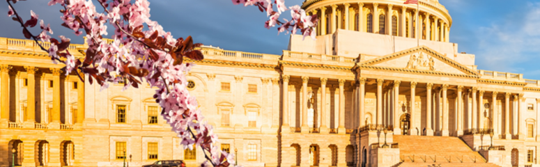 ASTRO_org's tweet image. Advocacy Day
#PatientsOverPaperwork
Let’s fix this problem

#NationalHaikuDay
#FixPriorAuth #ASTROadvocacy