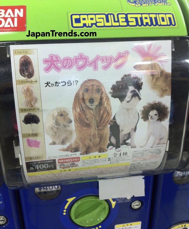 Heist on Twitter "Japan has vending machines where you can buy wigs