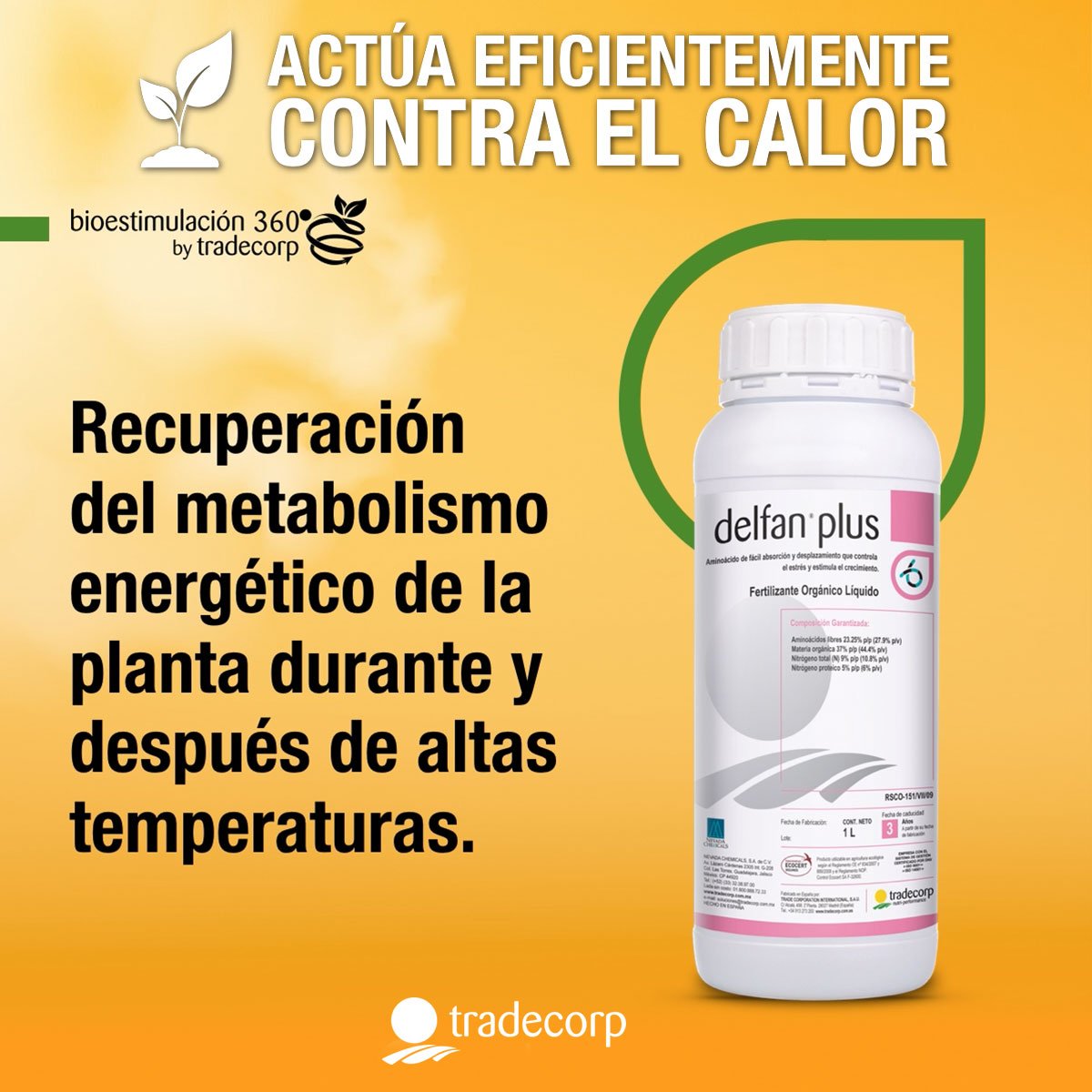 TradecorpMx's tweet photo. El efecto anti-estrés abiótico de delfan plus mejora y fortalece la respuesta de tus cultivos a las altas temperaturas.

#Agrocultura #Agronomía #Cultivos #SectorAgro https://t.co/AioDic4EYi