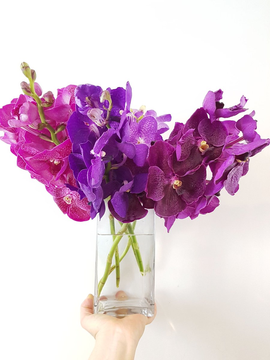KoKo Mod Floral tweet media