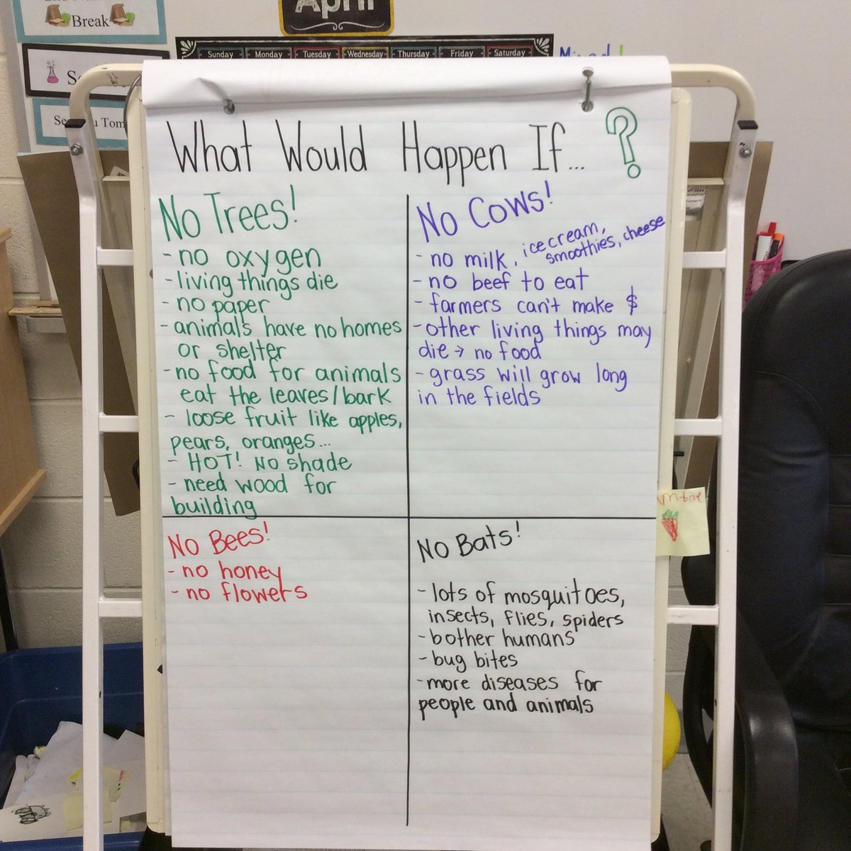 MrsHergottClass's tweet photo. Grade ones are exploring living things. Ask me how I know if something is living? https://t.co/iAl6Gfou8J