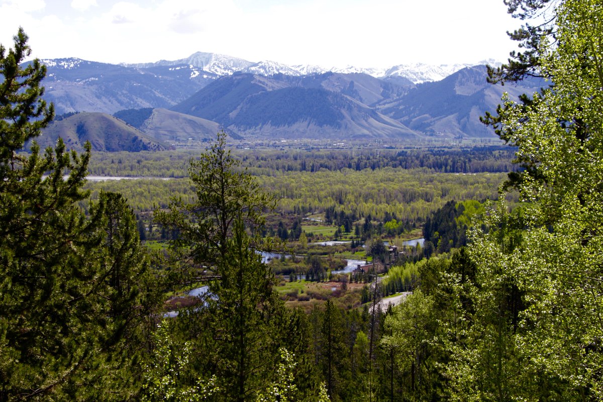 dreamjacksonwy's tweet photo. @JacksonHoleSIR Live the #Jacksonhole lifestyle at its finest. This quintessential log home offers access to #flyfishing on #fishcreek and the #snakeriver. Only minutes from the famed #JHMR #tetonpass, Sip your Coffee while watching the sunrise with views of the #grandteton. https://t.co/ykx74ReR0r