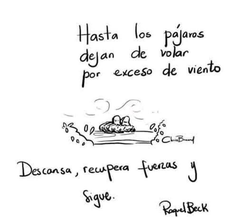Un_TaL_LaNdO's tweet photo. Siempreee sigue!!!😉 https://t.co/tBmjbwsQYn