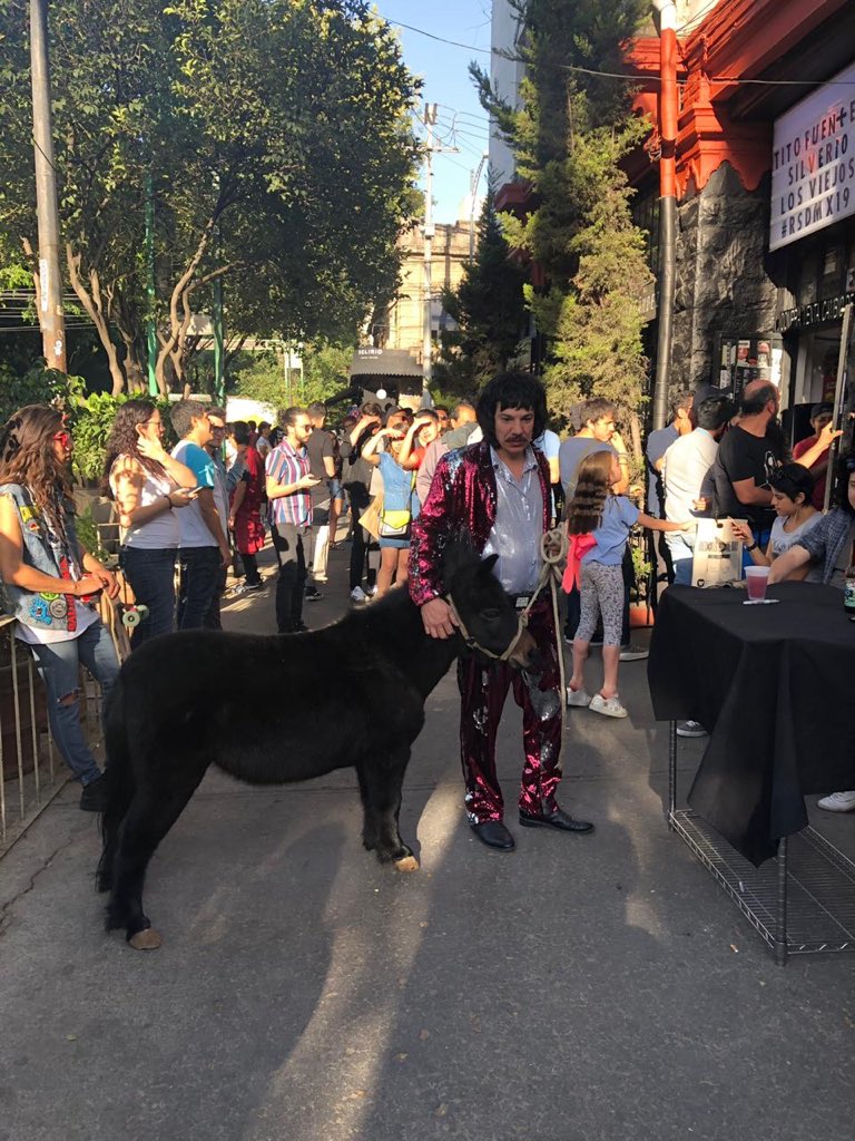 Su Majestad llegando en burro como Jesus a Roma.