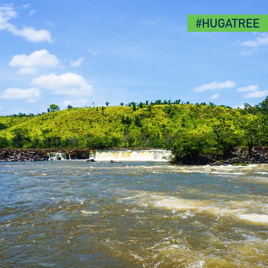 HUGAmazonia's tweet photo. For each person a tree - For the humanity the whole forest! Hug a tree in the midle of the amazon and change the future for all of us! Learn how at: https://t.co/TTJV4q8yTM 
.
📸: HUGAmazonia 
.
.
#deforestation #climatechange #wearetheforest #AmazoniaRainforest #TogetherForGreen https://t.co/4VkWAdB5RV