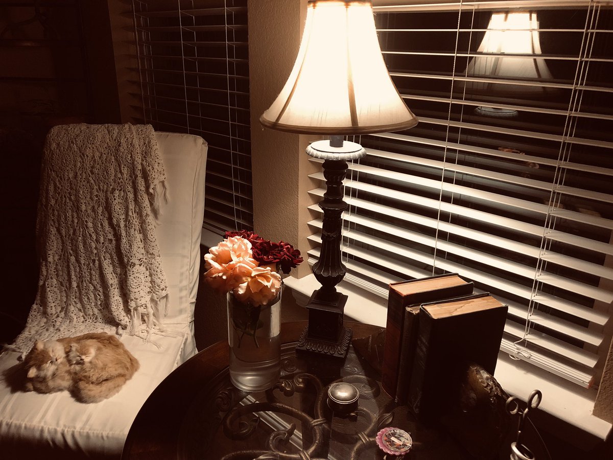 AwesomismMom's tweet photo. Good night! Have a beautiful evening… May the troubles of today fadeaway… And may you wake up full of happiness and promise. #GoodNight #HaveABeautifulEvening #MayTomorrowBeBeautiful #WednesdayEvening #MomBlogger #Mompreneur https://t.co/mhOlfGjLrk