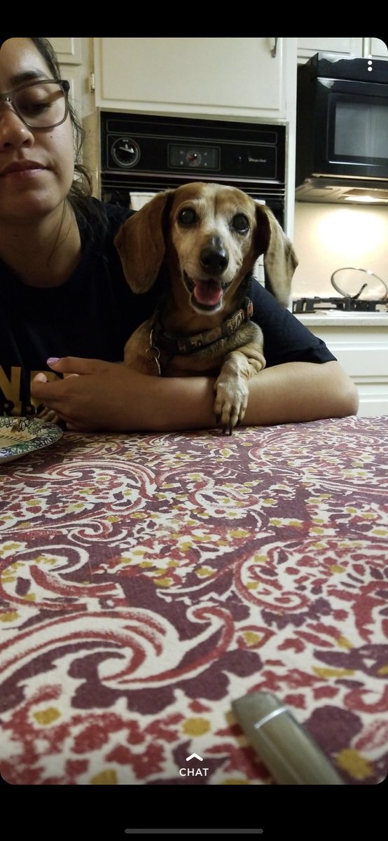 brookiecookiee8's tweet photo. I miss my best friend 🥺❤️ https://t.co/BJqoowwIia