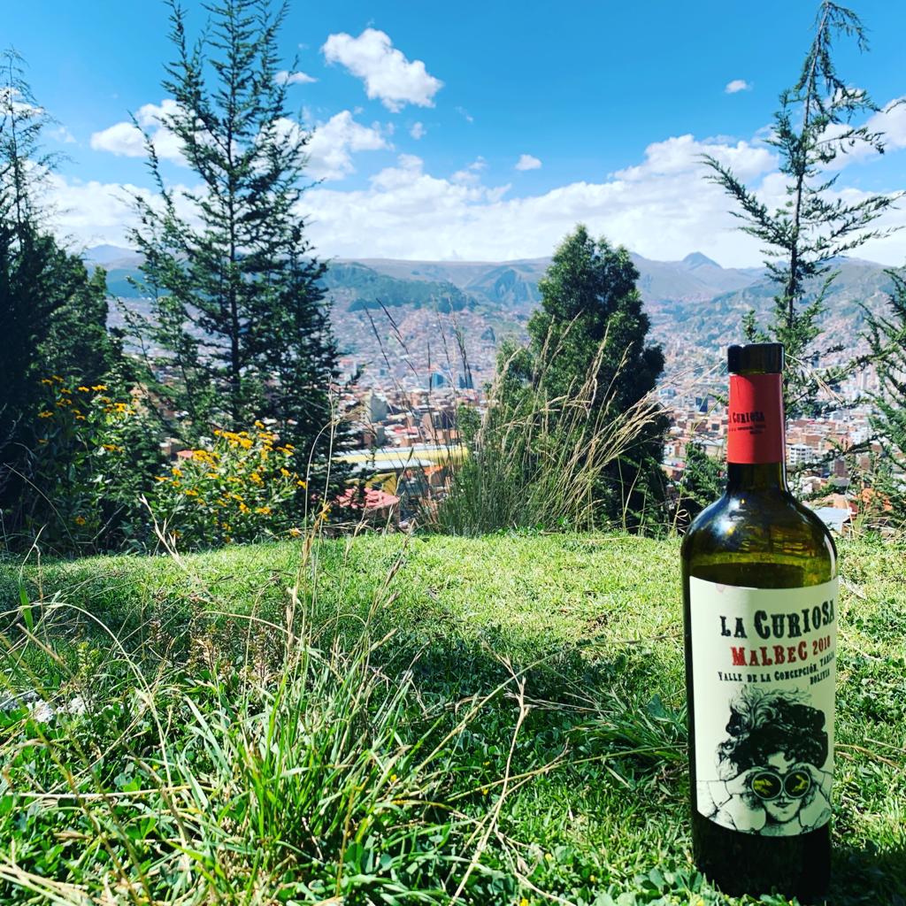Vino Boliviano que no te puedes quedar sin probar #LaCuriosa