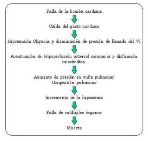 AsoTREPH's tweet photo. sepsis severa y shock séptico #APH
#ALS #MEDED #FOAMes https://t.co/L7susOMY4C