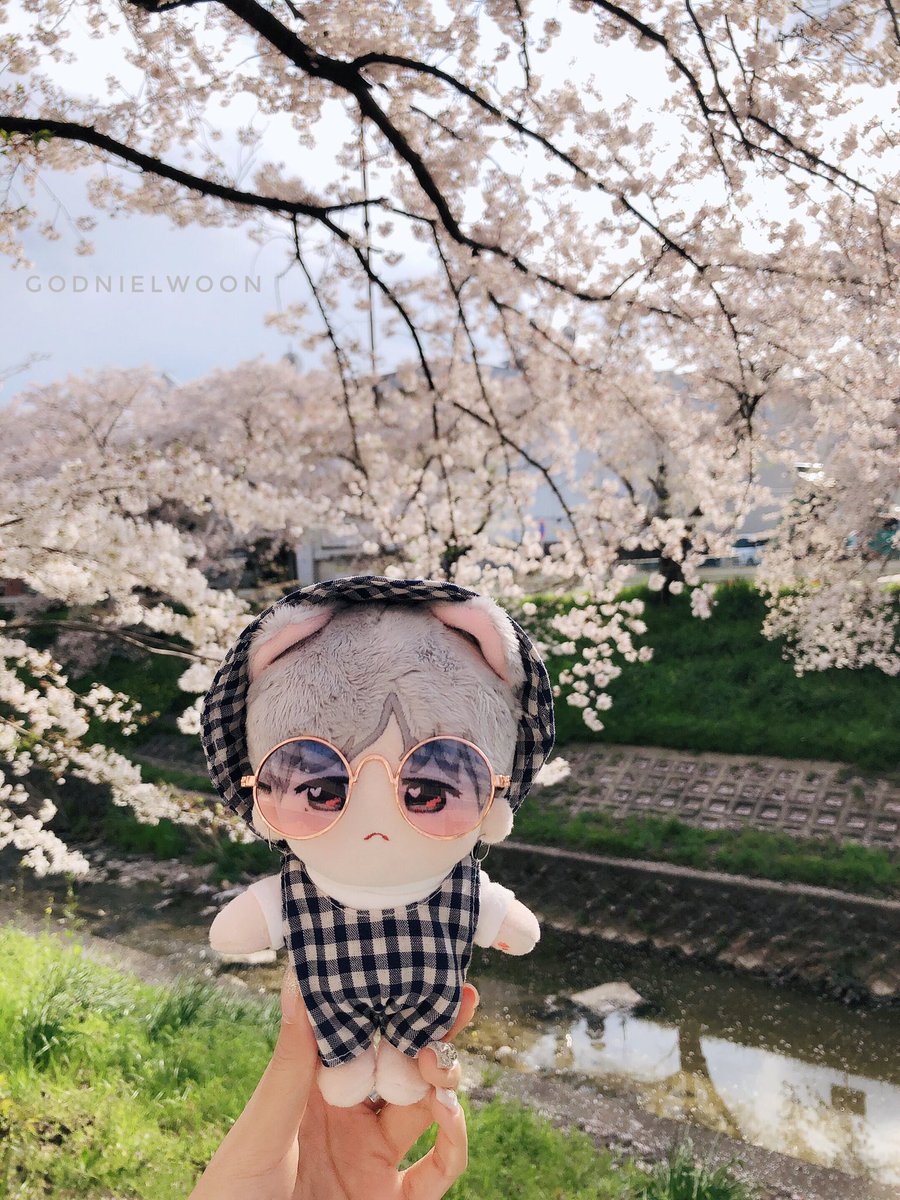 🌸🌿🌊

#강다니엘  #KangDanie #姜丹尼爾 #姜丹尼尔 #嚶狗尼 #KoDoggyniel