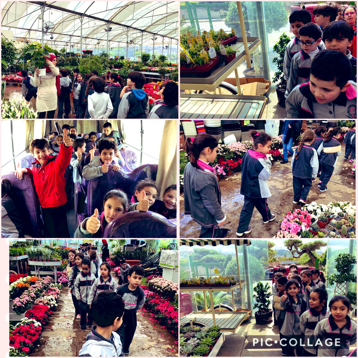 Let’s Go to Yara’s Garden to explore different plants &amp; acknowledge plant parts🍃🌺 #outdoor_learning #planting #scienceisfun <a href="/MakAishaSchool/">MakAishaSchool</a>