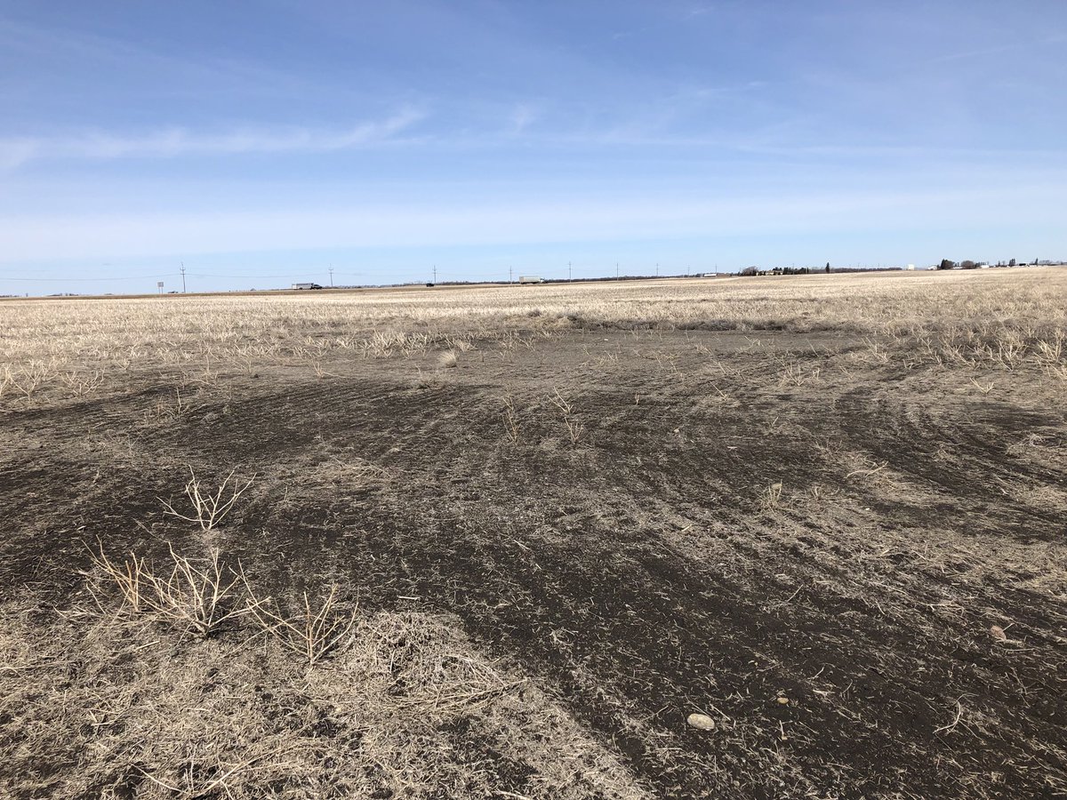 Rachel Evans tweet media