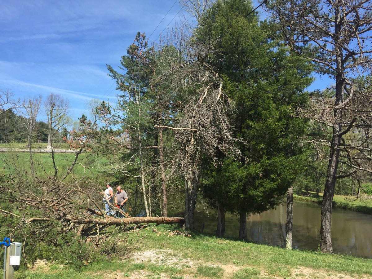 TrueWestCamp's tweet photo. Tree maintenance is such an important part of keeping up the campground. We’re sad to see these trees go. Pine boring beetles are relentless. Please don’t bring firewood from outside the county. We have some here for sale. Help use save the trees and keep the beetles out. https://t.co/uFdmq618zI