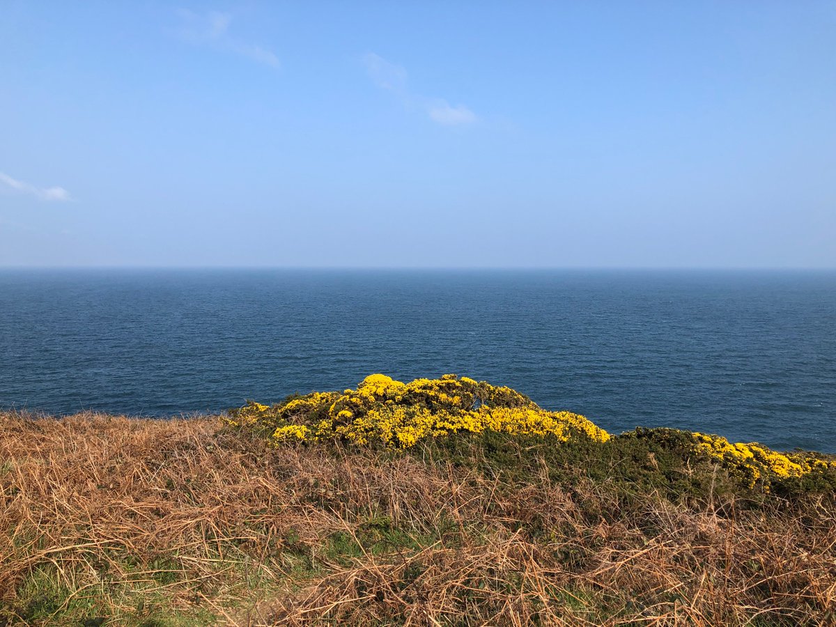 osullsean's tweet image. 