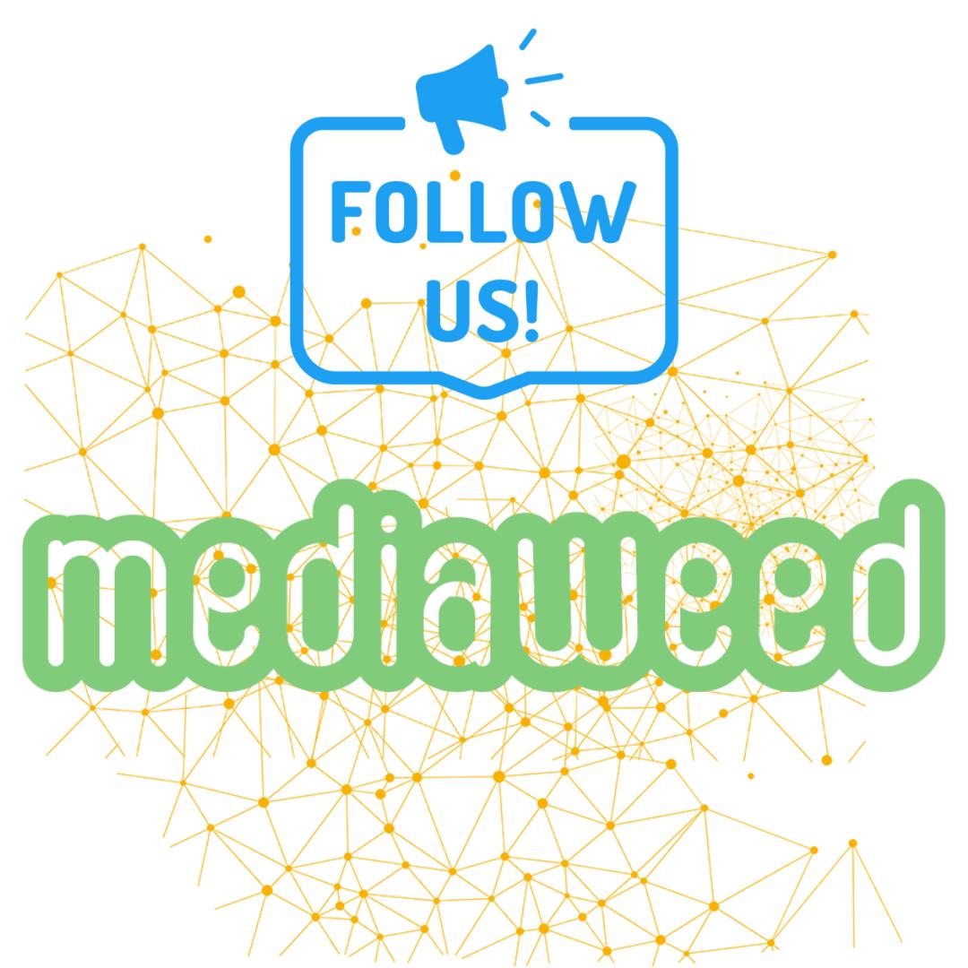 FrancophoneWeed's tweet photo. Follow US, thanks
#terps #cbd #cannabidiol #cbdfrance #cbdeurope #cbdluxembourg #cbdbelgique #cannabinoids #fullspectrumcbd #growshop #vaporizer #HEMP #grainesdecollection #chillshop #weed #extraction #extractor #chanvre #weed #cbdswiss #cannabis #isolatecbd #expogrow #spannabis https://t.co/y1r3StPgJI