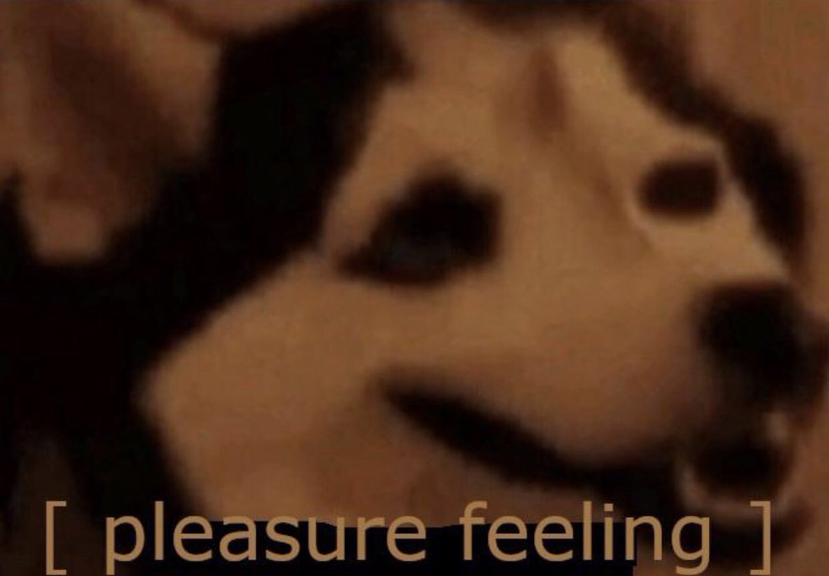 bbopaus1999's tweet image. When you literally set every task in Azure to closed except for one, which will take 15 minutes to finish, and you did over a week’s worth of tasks in two days

#PurdueGameDev