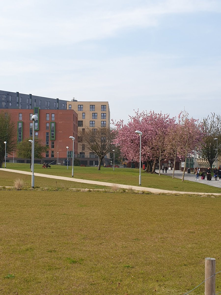 kicholiz's tweet photo. Really thankful for the funded trip to the University of Salford for this event! Too bad I'll be graduating this year or I'll attend for more years to come. #BCSWomen #LovelaceColloquium2019 https://t.co/Y0OMMh2son