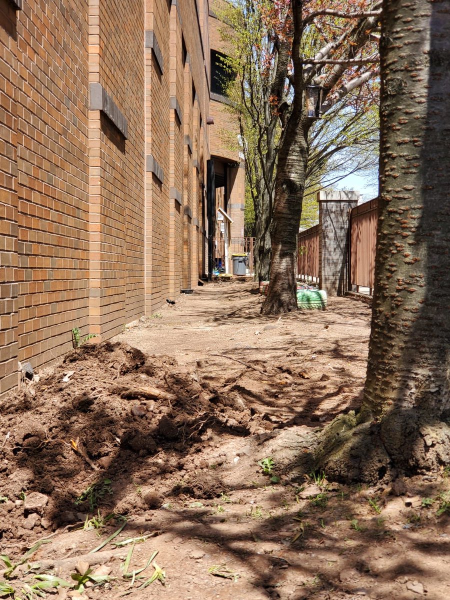co2apt's tweet photo. Our Nature Exploratory Area(N.E.A.) is nearly complete! We just need to add benches, remove a few more stumps, level the ground, add more mulch, and place a fence around the area to prevent trash from coming in. Then we’ll be all set! #lexusecochallange #natureinthecity #cleanair https://t.co/DBdNRZ9Jzn
