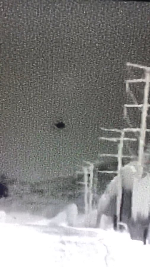 View image on Twitter