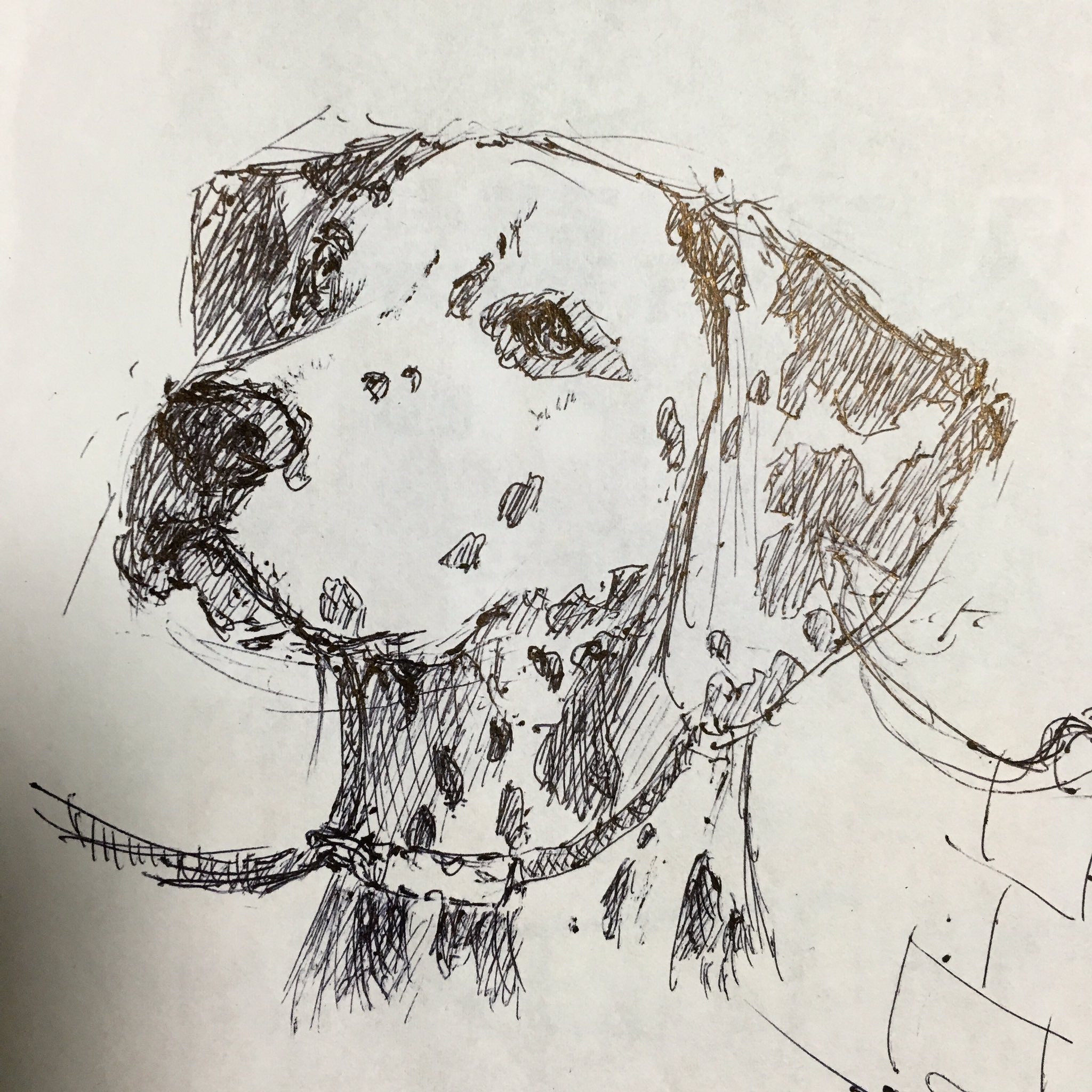 丘山一木 ボールペン一発描き ペンが手に馴染み出した いい感じ 変な落書き写り込んでる ｰ ｰ 鉛筆画 イラスト デッサン イラストレーター 絵本 落書き 絵本作家目指して 犬 わんちゃん ダルメシアン Dog Dalmatian T Co 63r2fav9kf