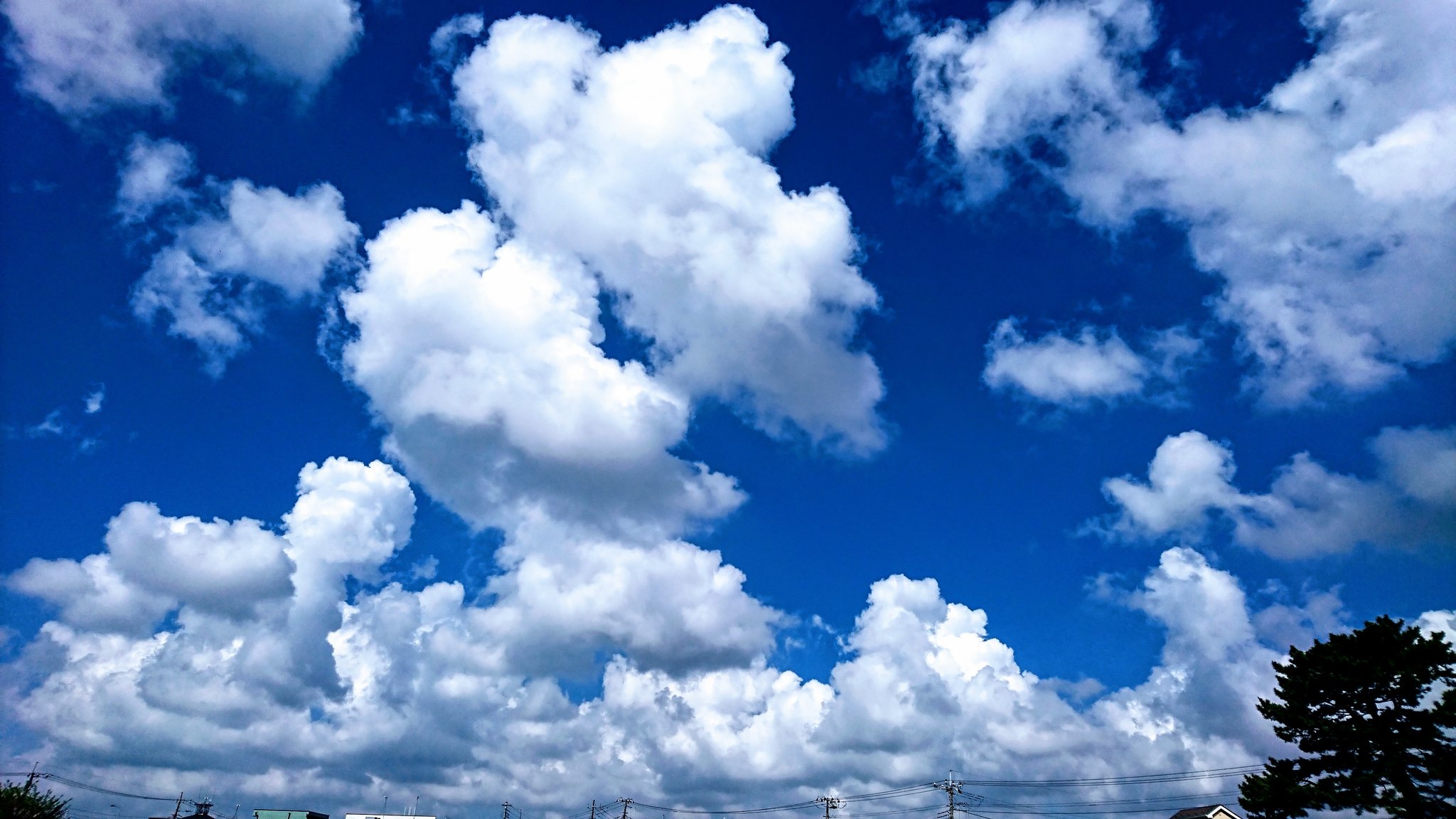 夏の雲 tass 🇯🇵 on X: 