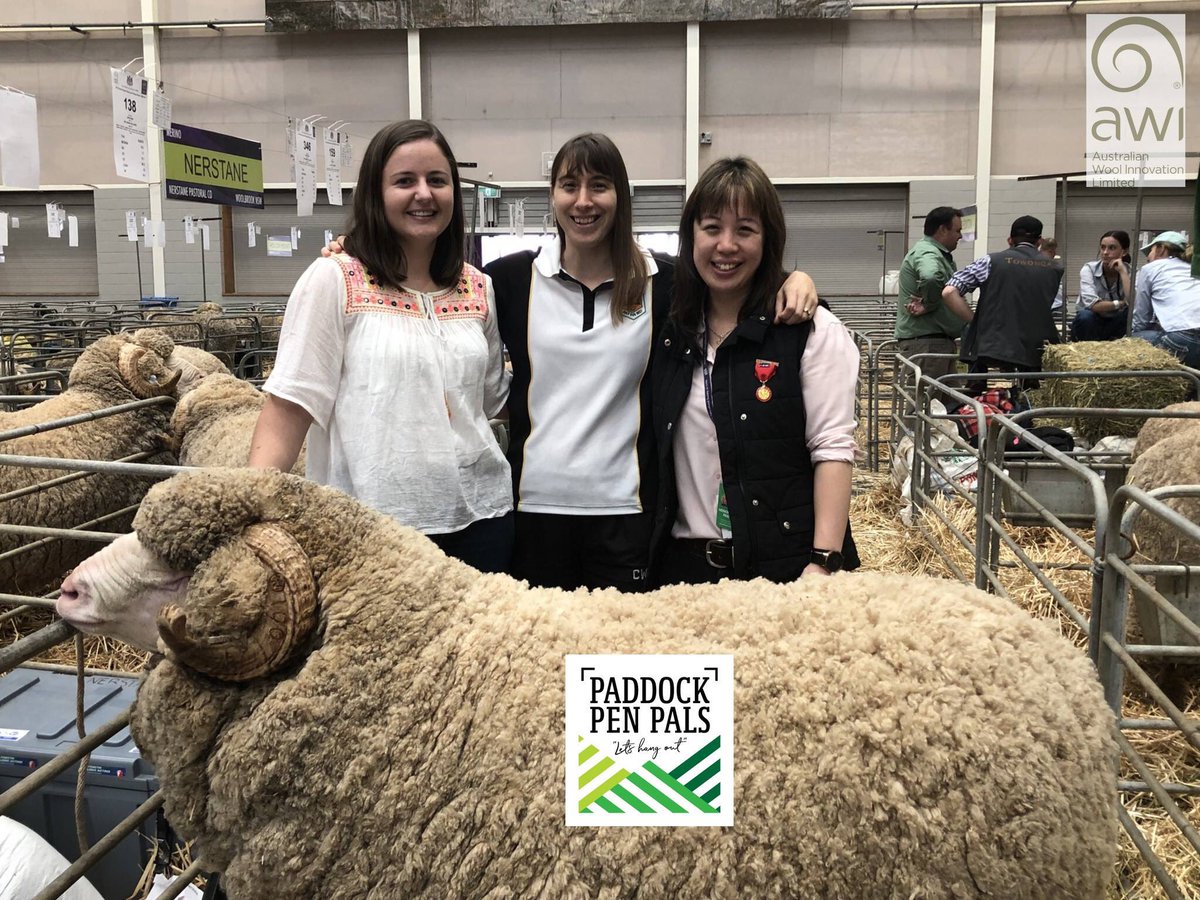 From the paddock 🐑🌱to the classroom 📚
The @eastershow was the 👌🏽 opportunity for our Paddock Pen Pals pilot school teacher Zoe Stephens from Carlingford West PS to meet Young Farming Champions @dione_howard and @S_Wan926! @woolinnovation #LoveWool #MyEasterShow #YouthVoices19