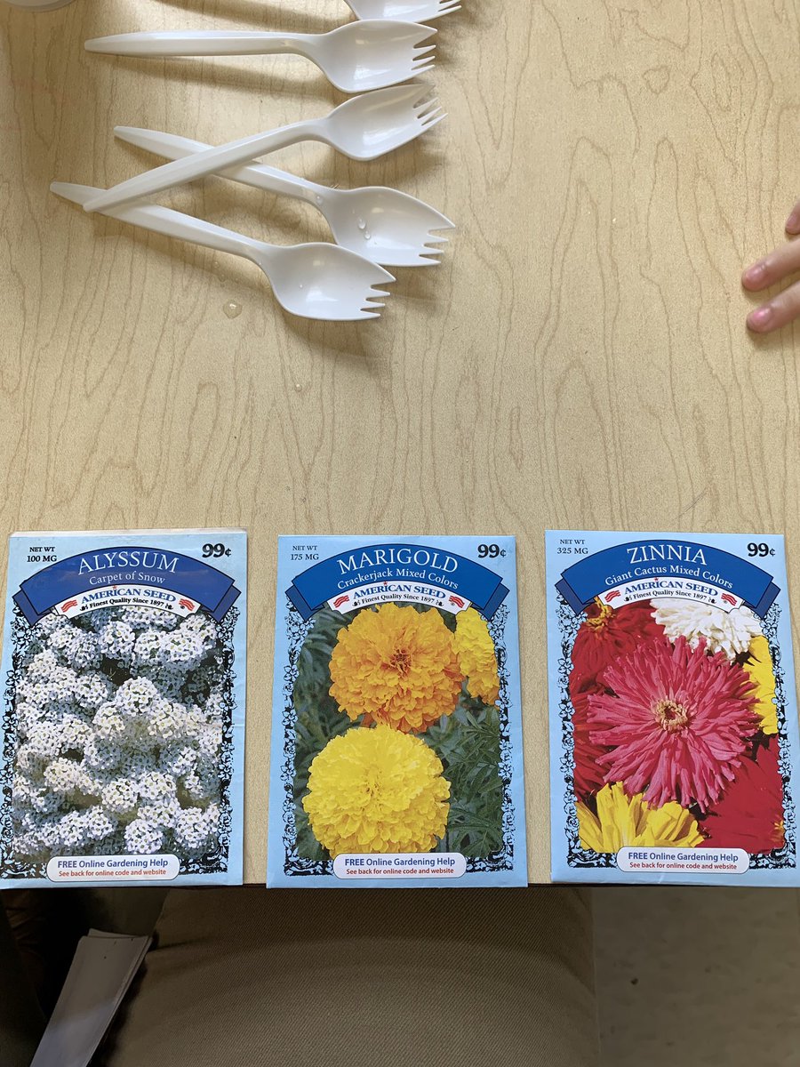 Today we planted seeds - Alyssum, Marigold, and Zinnia!! 🌼🌸💐 #SpringActivities #Planting We can’t wait until they sprout and we can transfer to our garden outside!! 🤗