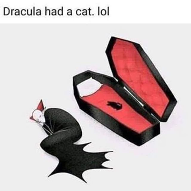 toofastclothing's tweet photo. Cat People...can you relate?! 😂⚰️
.
.
.
.
.
.
#lol #memes #gothmemes #vampirememes #dracula #cats #catmemes #catpeople #catlady #catdad
#altfashion #gothfashion #gothclothing #alternativeclothing #alternativefashion #altclothing #gothgirl #gothic #lotd #ootd https://t.co/INEbHUbWS3