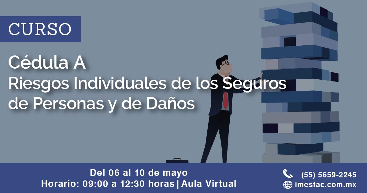 Si por alguna razón no puedes tomar nuestro curso de Cédula A en modalidad presencial, no te preocupes, puedes hacerlo a través de nuestra Aula Virtual.