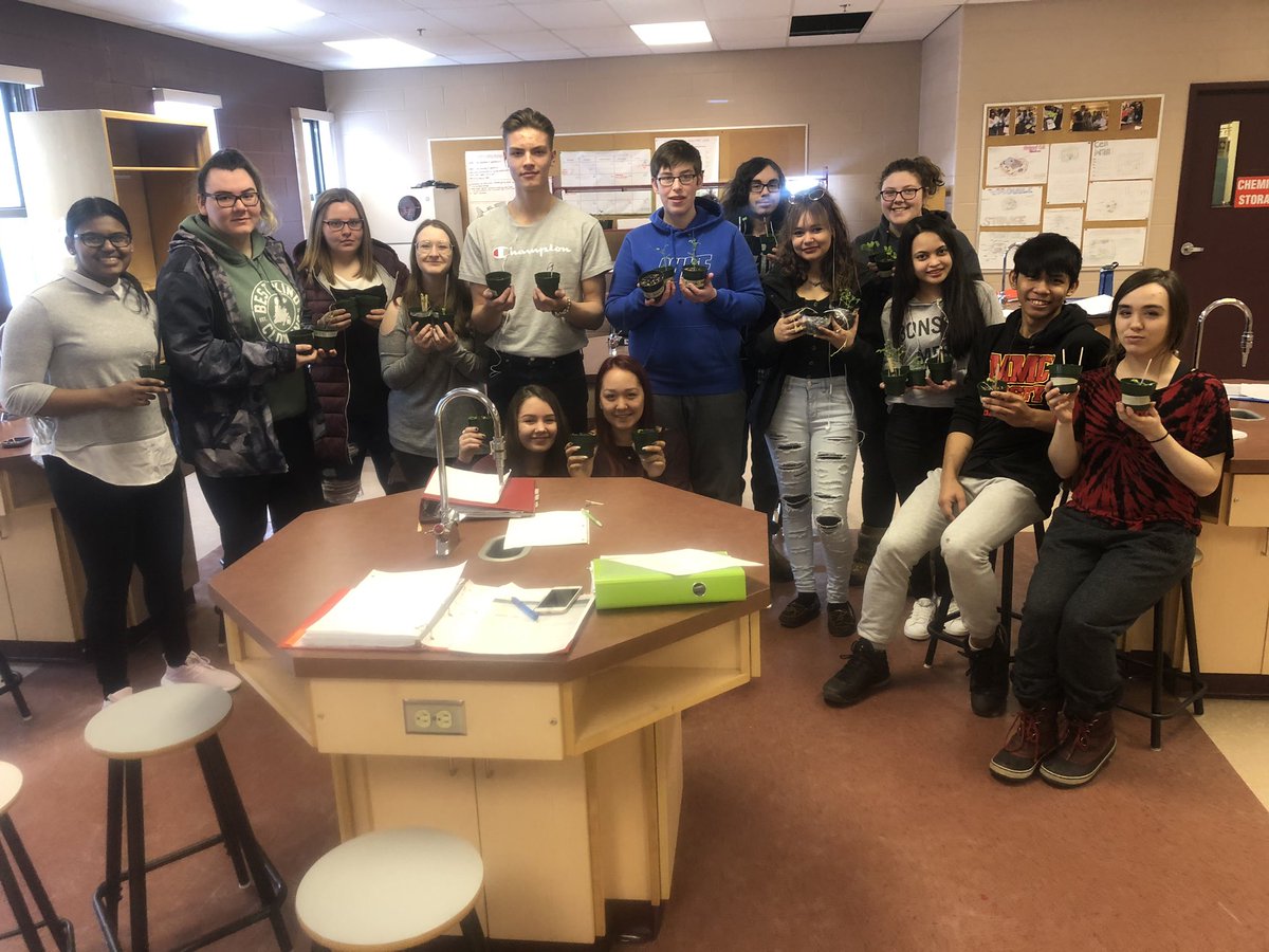PE_StephenPike's tweet photo. I’ve been enjoying piloting the new Bio 2201.  One of my favourite new labs ended today. The Ss controlled the design, procedure, and analysis of factors that affect plant growth. Valuable science literacy gained through this lab. @NLESDCA @MealyMountain https://t.co/fDGURsfY8C