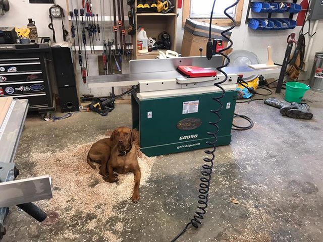 Grizzly's tweet photo. This pup has the right idea! We would love to see your shop pets #grizzlyindustrial #grizzlytools #dogsoftwitter #shoppet #petsofinstagram https://t.co/kihgpARdfs