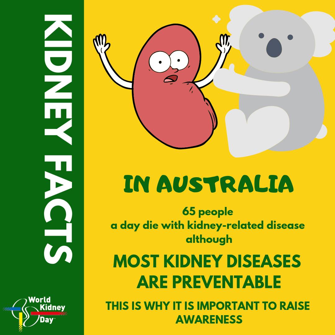 worldkidneyday's tweet photo. 👉Good news is onset of #KidneyDisease is preventable and progression can be slowed down😃
Take the @KidneyHealth risk now to know if your at risk of developing Kidney Disease! ➡️https://t.co/MmCD3HNyP5
#ISNWCN #IKidneyCheck #KidneyDisease #Prevention @ISNWCN @KidneyHealth https://t.co/A56AYKHbgn