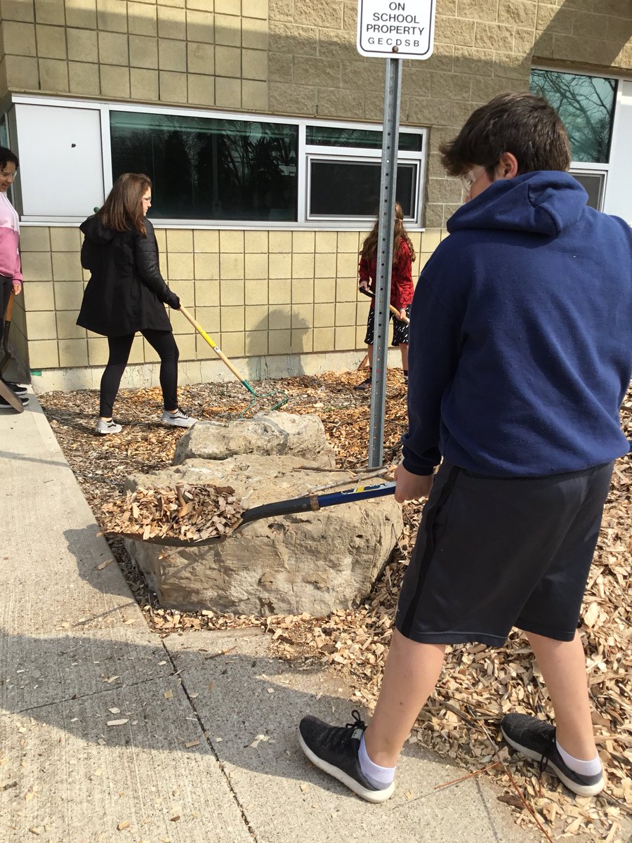 joanne_pizzuto's tweet photo. Thank you to the City of Windsor for dropping off mulch this morning. Our students always do such a great job working together to spread all that mulch. https://t.co/bNZ5jJvfT3