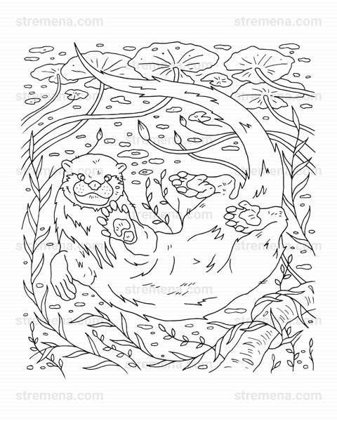 strem_art's tweet photo. Aren't you a cute one. (#coloringbook https://t.co/FQu3VUqNkg)
#coloringsheets #ausmalen #printathome #ausmalbilder #selfprint #stremart #digitalcoloring #cute #otter #cuteanimals #otterlife #nature #illustration #adultcoloring #pdfprintable https://t.co/WUPNGdvN4n