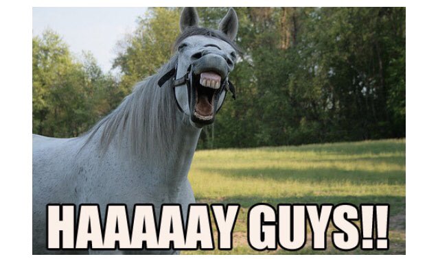 FVwellness's tweet photo. We are proud to work in partnership with Fraser Health Authority, bringing to #BritishColumbia and the rest of #Canada the best in compassionate care for #mentalhealth and #addiction!
(Plus we have #horses!) https://t.co/gnpRu0NJ5X