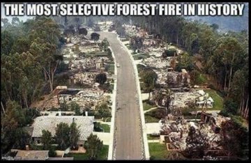 Näytä kuva Twitterissä