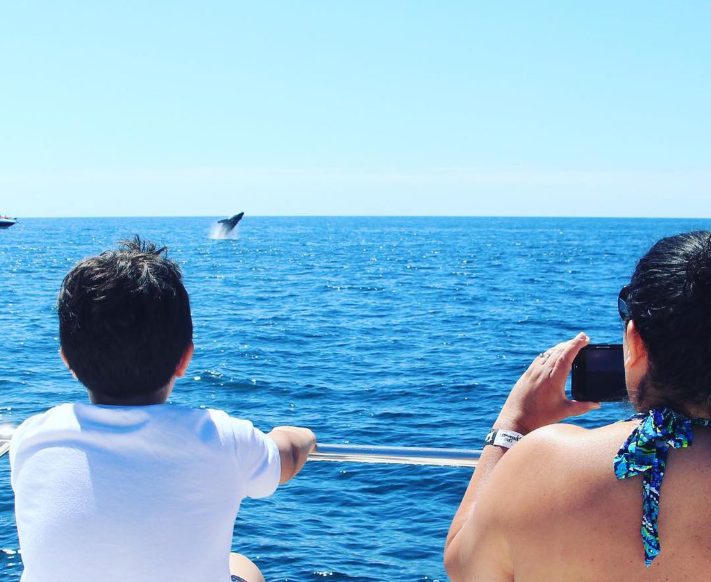 GabrielaDow's tweet image. #MagicalMemories 💙✨🐋 #Gracias #CaboAdventures