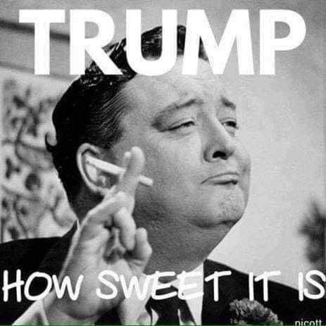 ShipJos's tweet photo. @BernieSanders Our @realDonaldTrump will eat you up and spit you out🤮! https://t.co/gSpU0DuoBL