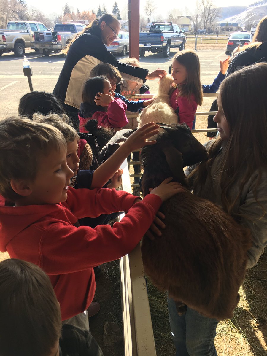 Ali Rollins tweet media