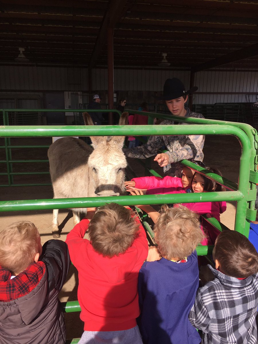 Ali Rollins tweet media